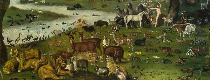 “Adam Names the Animals” by John Miles.
