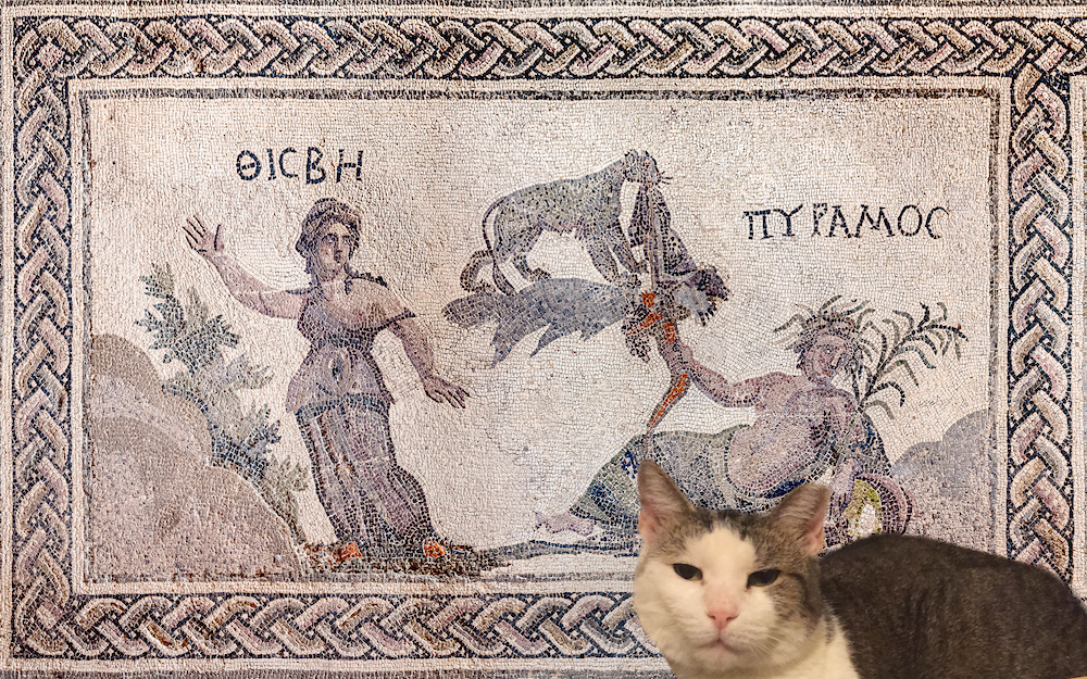 (Pyramus and) Thisbe and I
